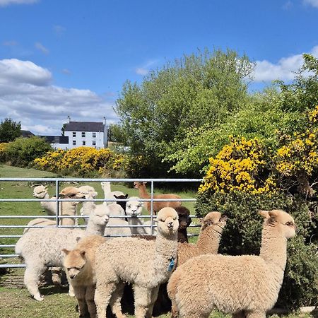The Alpaca Farmhouse With Hot Tub And Alpaca Experience Included Dromara Экстерьер фото