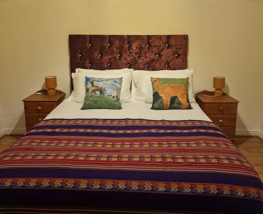 The Alpaca Farmhouse With Hot Tub And Alpaca Experience Included Dromara Экстерьер фото