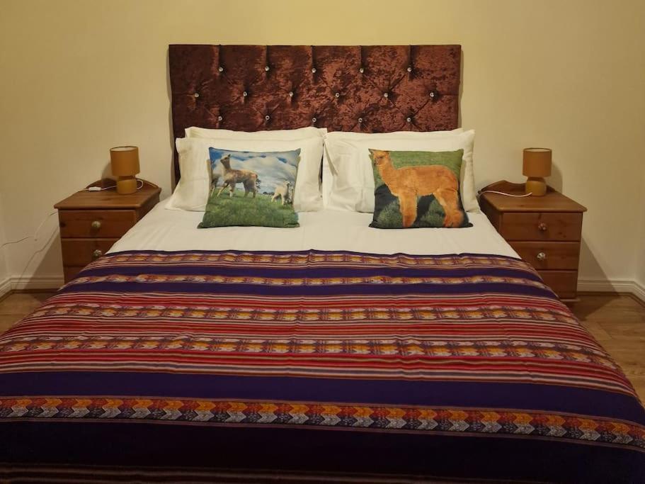 The Alpaca Farmhouse With Hot Tub And Alpaca Experience Included Dromara Экстерьер фото