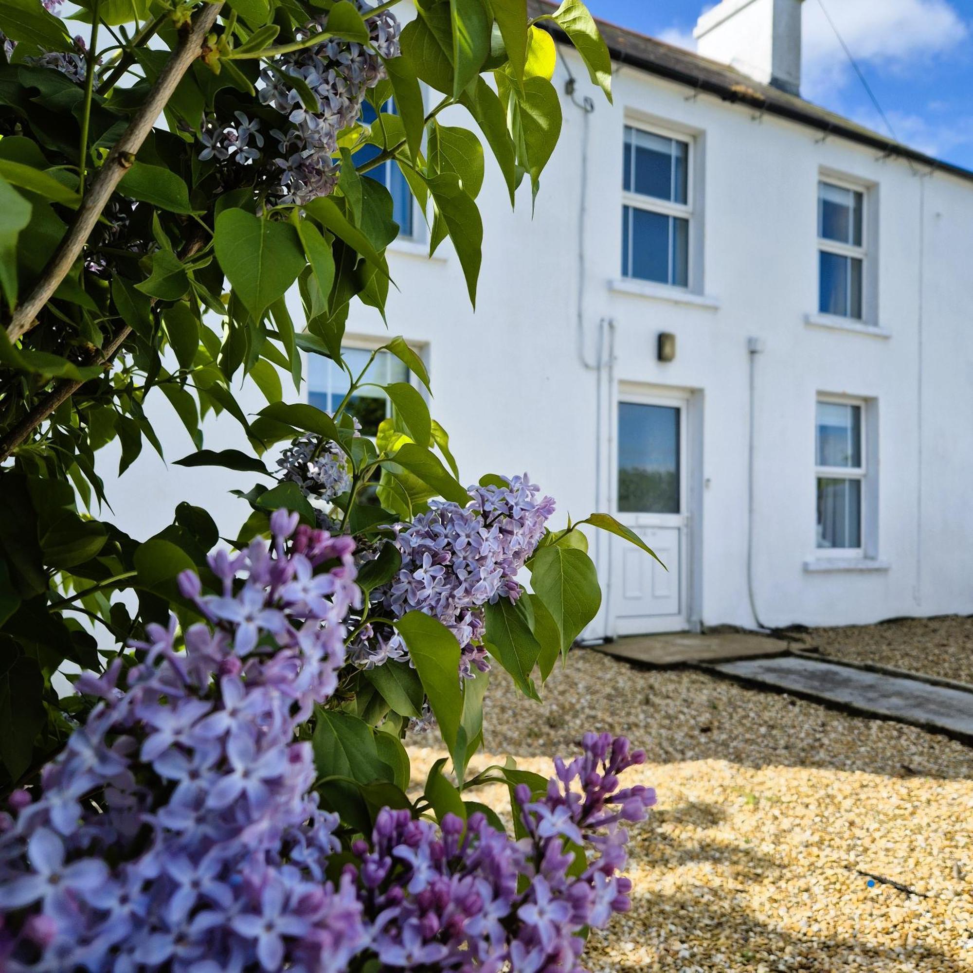 The Alpaca Farmhouse With Hot Tub And Alpaca Experience Included Dromara Экстерьер фото
